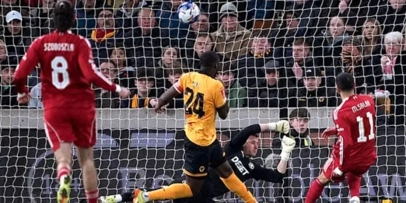 Vì sao Bongdalu là điểm đến kqbd đáng tin cậy